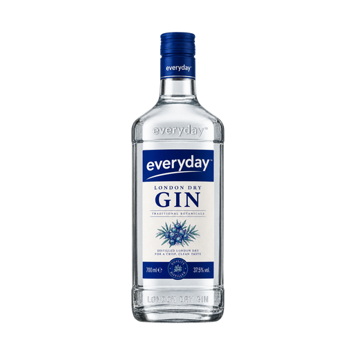 everyday london dry gin — app catalog bottle illustration