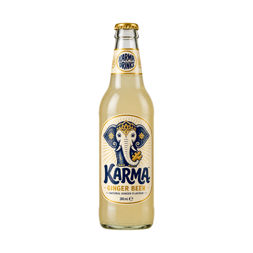 Karma Ginger Beer — app catalog bottle illustration