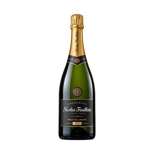 Nicolas feuillatte Champagne brut millésimé — app catalog bottle illustration