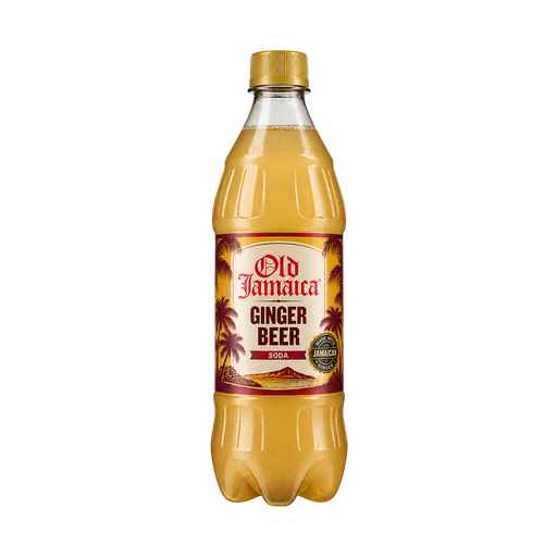 Old jamaica Ginger Beer Soda — app catalog bottle illustration