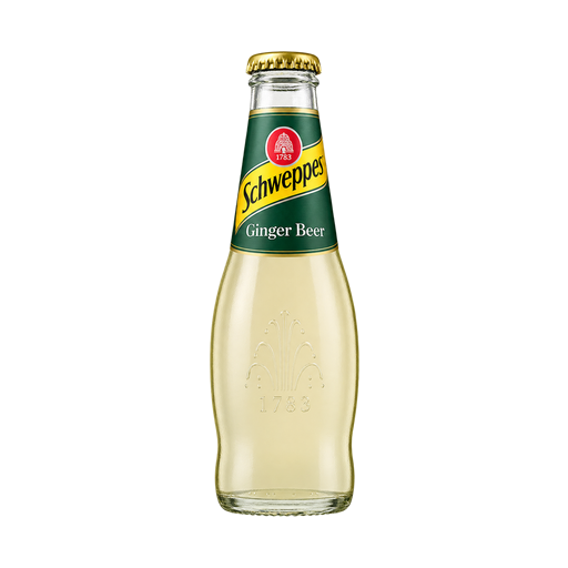 Schweppes Ginger Beer — app catalog bottle illustration